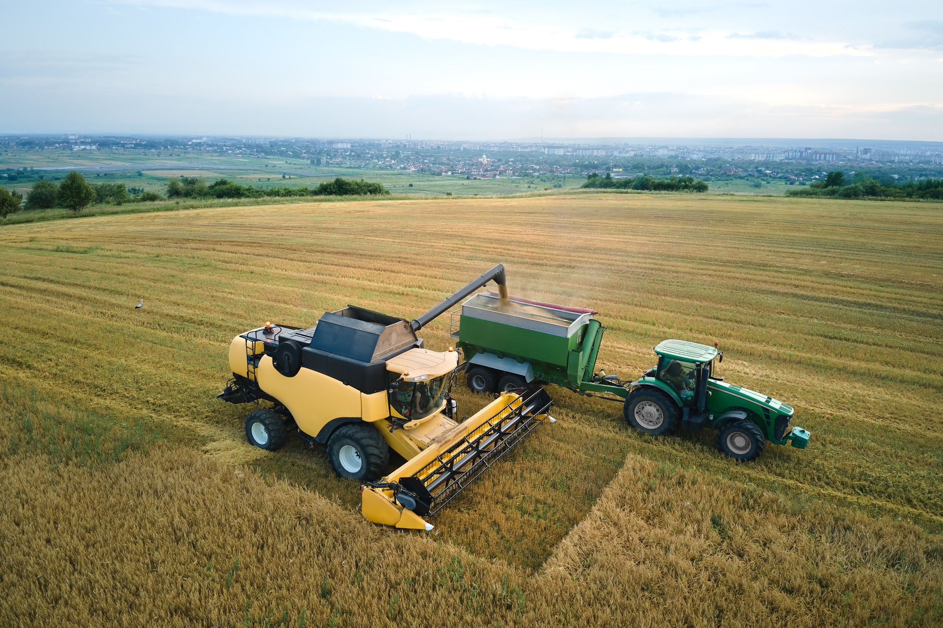 Aerial view of combine harvester unloading grain in cargo trailer working during harvesting season on large ripe wheat field. Agriculture and transportation of raw farm products concept