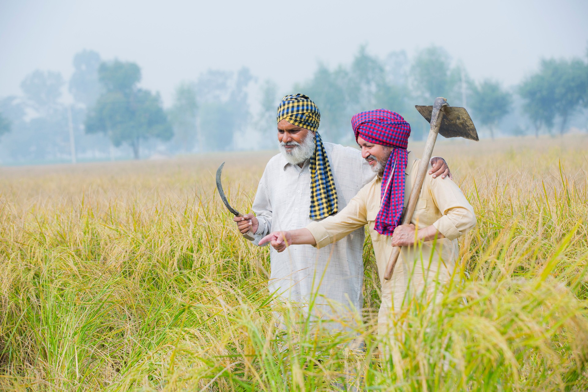 Two farmers on agricultural field stock photo
