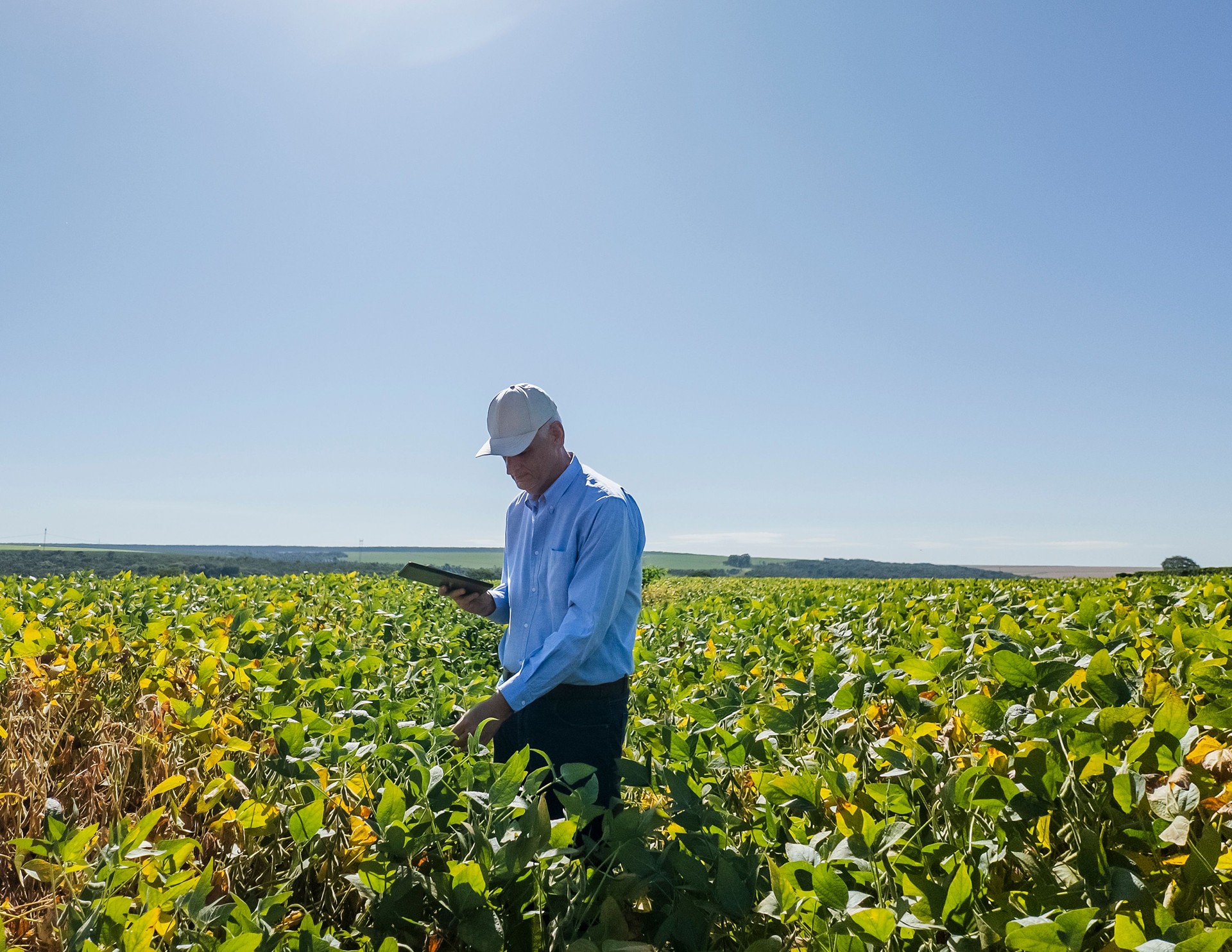Agricultural Field Inspection with Digital Tablet